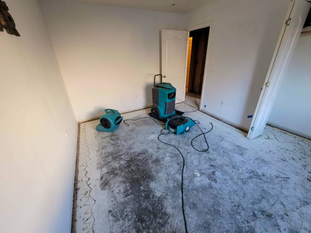 Best Water damage mitigation services  in La Luz, NM