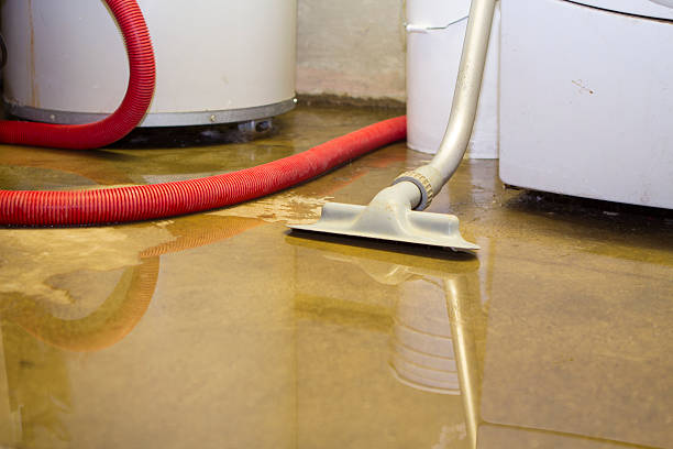 Water damage restoration mold remediation in La Luz, NM